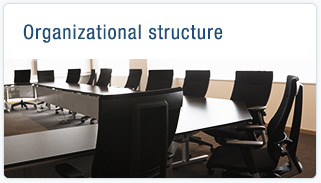 Organizational structure